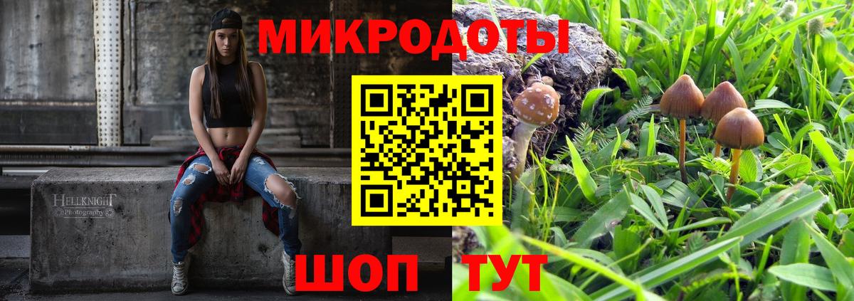 Галлюциногенные грибы Magic Shrooms  Галлюциногенные грибы Cubensis  Калининград  Вход с VPN 